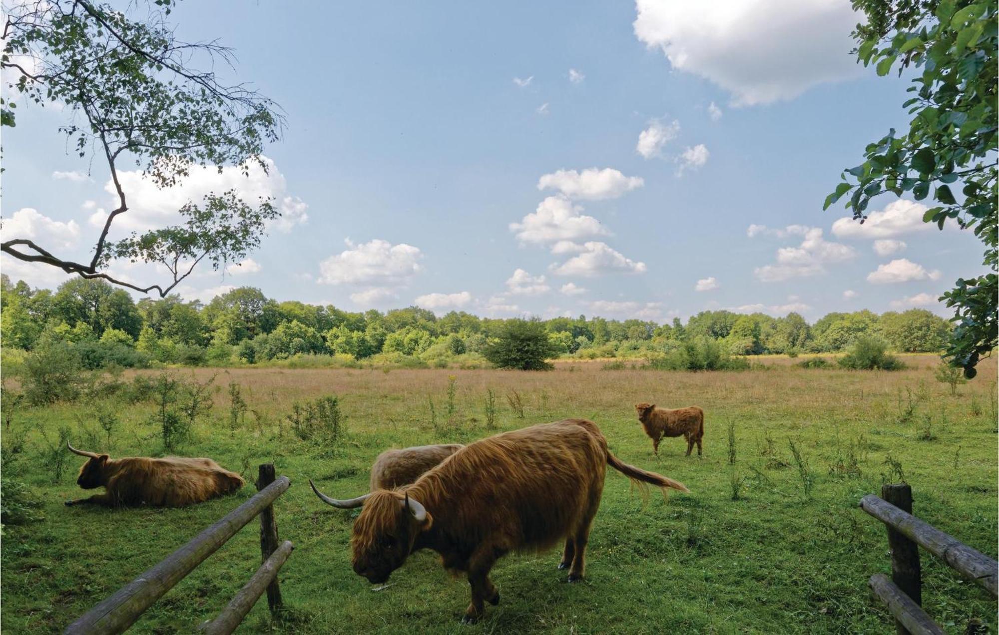Weidemanssheide Villa Ommen Exteriör bild